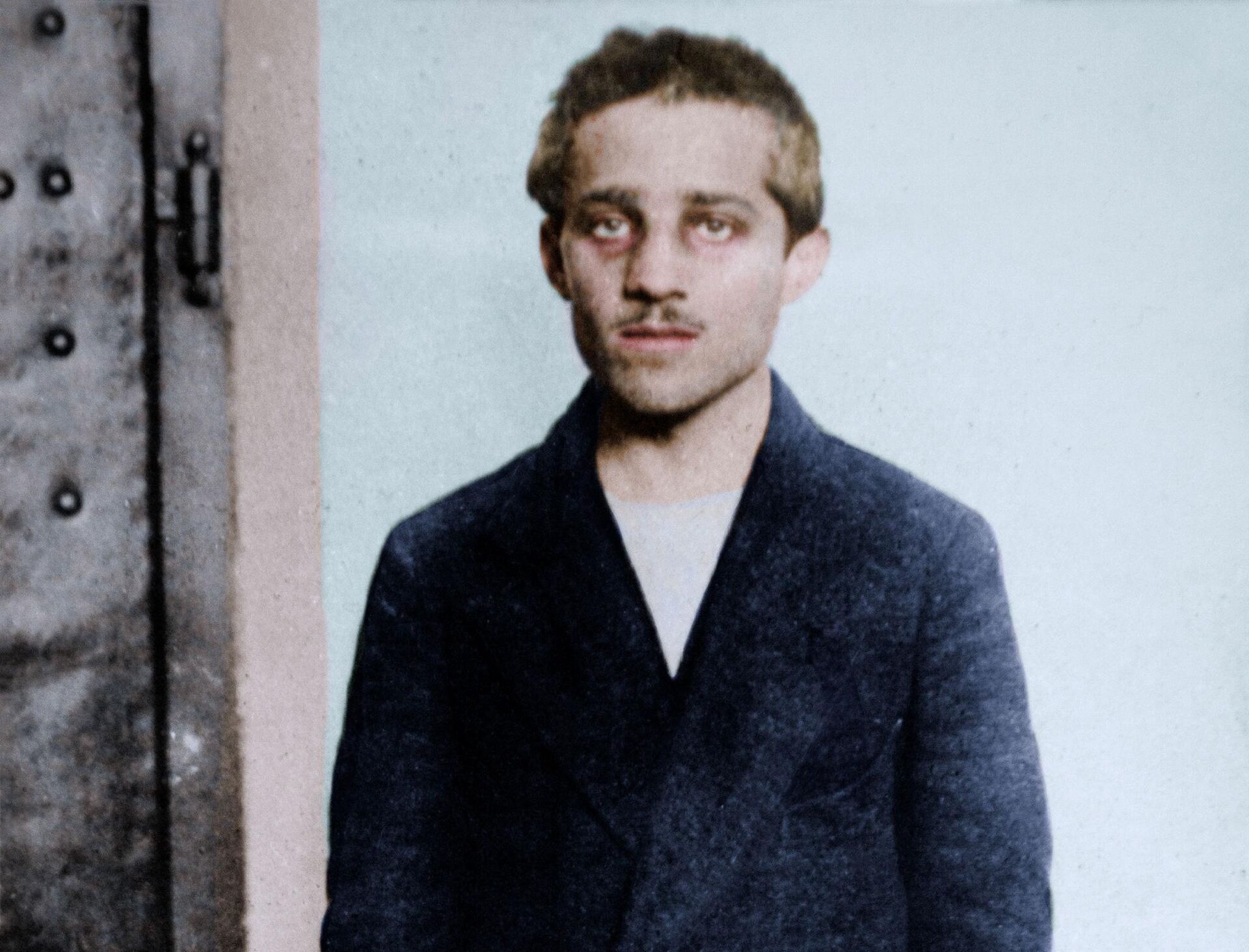 Gavrilo Princip - Sputnik Srbija, 1920, 05.07.2024