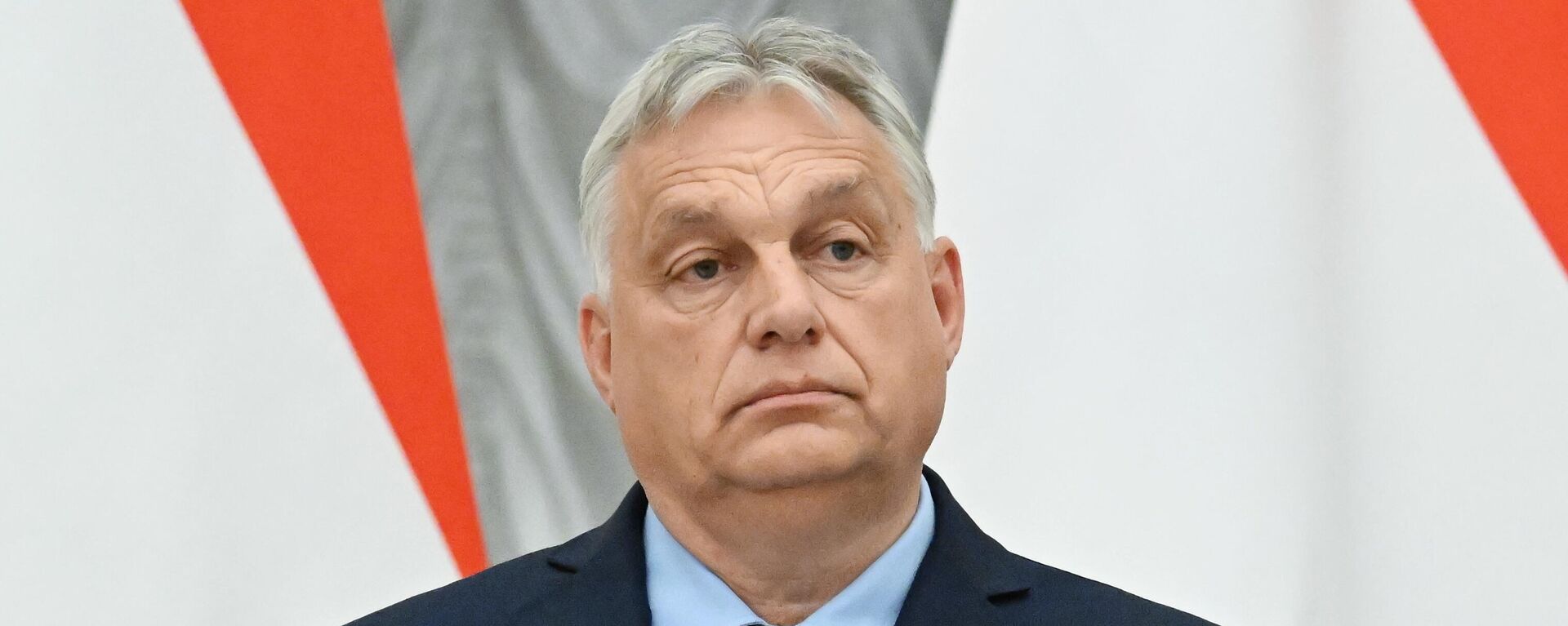 Mađarski premijer Viktor Orban - Sputnik Srbija, 1920, 30.09.2024