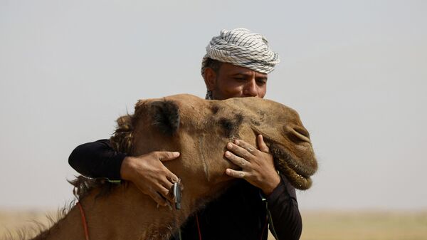 Мужчина обнимает верблюда в районе Хамисия к юго-востоку от Багдада - Sputnik Србија