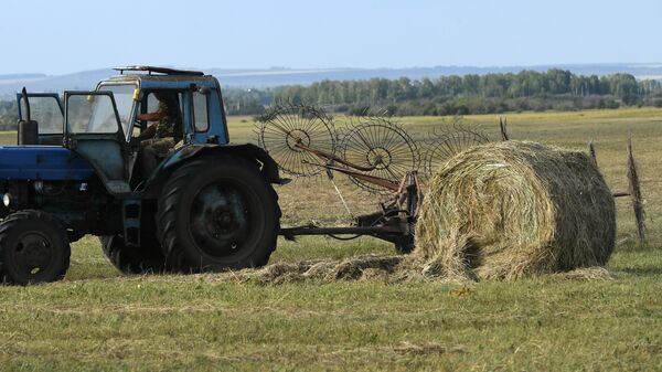 Трактор купи сено - Sputnik Србија