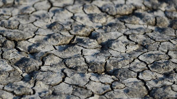 Suša - Sputnik Srbija