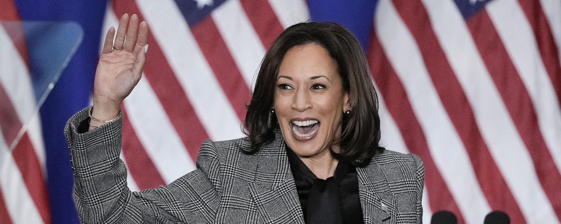 Vice-prezident Kamala Harris vыstupaet v Okružnom sovete Meždunarodnogo soюza hudožnikov i smežnыh professiй, SŠA - Sputnik Srbija, 1920, 20.07.2024