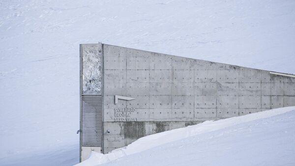 Arktički trezor Svalbard - Sputnik Srbija