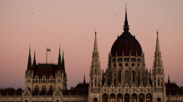 Birds fly over the Hungarian Parliament Building in Budapest, Hungary - Sputnik Србија