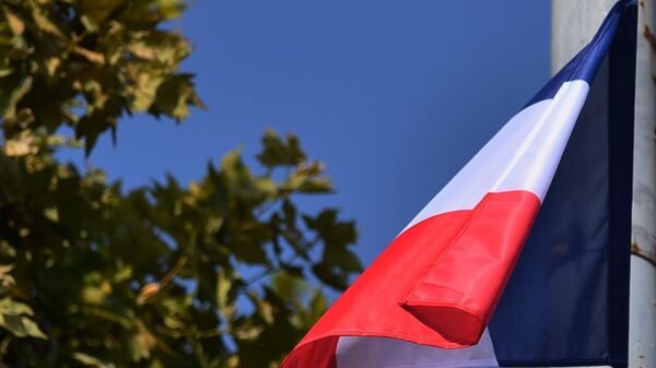 Zastava Francuske - Sputnik Srbija