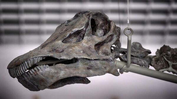 Zeleni dinosaurus - Sputnik Srbija