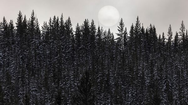 sneg - Sputnik Srbija