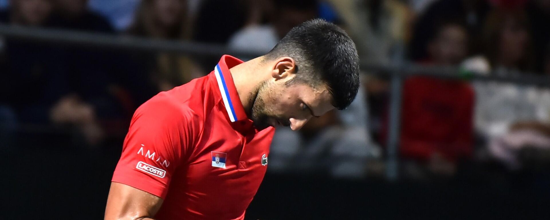 Новак Ђоковић - Sputnik Србија, 1920, 15.12.2024