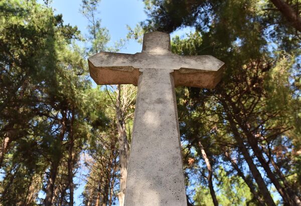 Prve poljske bolnice na ostrvu Vido improvizovali su Francuzi i u njima su smešteni srpski vojnici( uglavnom regruti). Njihovi iscrpljeni organizmi hranu i vodu nisu prihvatali, neretko nisu imali snage ni reč da progovore, samo su pogled put neba upirali sa nemom molitvom na usnama. I umirali. Grčko „ostrvo zmija“ za Srbe je postalo “ostrvo smrti“  - Sputnik Srbija