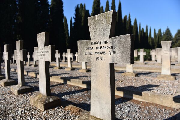 Претпоставља се да је од глади, премора али и напада у албанским планинама умрло око 20.000 српских војника. Колико су ти дани били трагични за српски народ можда најбоље говори цитат једног српског војника: „Кроз Албанију, ако не знаш где је пут, само гледај где је војник мртав. Иди туда, изаћи ћеш на море - Sputnik Србија