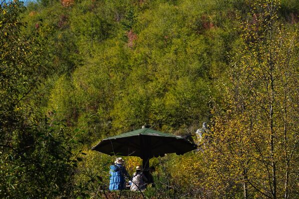 Друго предање каже да су се досељеници из Црне Горе и Херцеговине на Златибор хвалили богатством борове шуме, говорећи: „Златан је то бор!&quot;. - Sputnik Србија