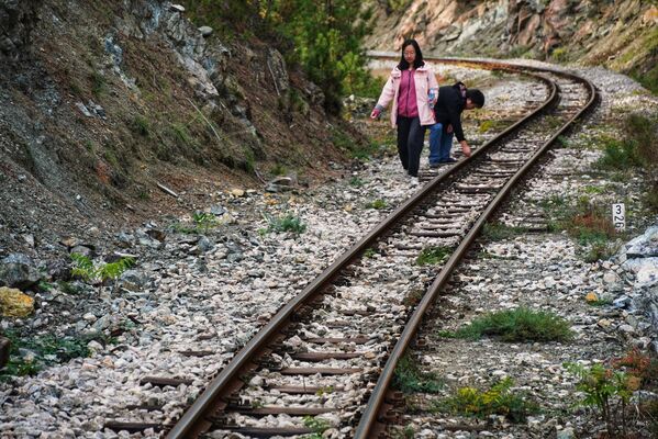 Pruga, širine koloseka 760 mm, prolazi najlepšim planinskim predelima Mokre Gore sa 5 mostova i 22 tunela. - Sputnik Srbija