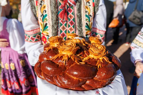 Фестивал вина и грожђа „Купујмо придњестровско“ у у парку Бендерске тврђаве у Придњестровљу. - Sputnik Србија