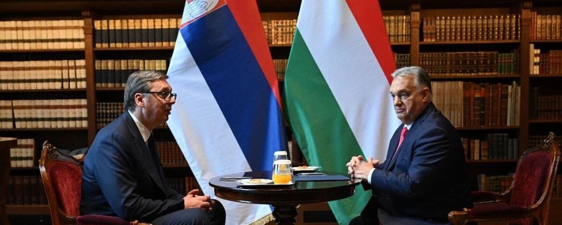 Aleksandar Vučić i Viktor Orban - Sputnik Srbija, 1920, 14.11.2024