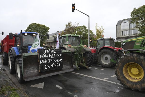 Dodao je i da protesti, na koje je pozvalo više stručnih sindikata, nemaju za cilj blokadu zemlje, već da Francuzima prenesu poruku da je sektor poljoprivrede danas u hitnoj situaciji, ponegde čak i dramatičnoj. - Sputnik Srbija