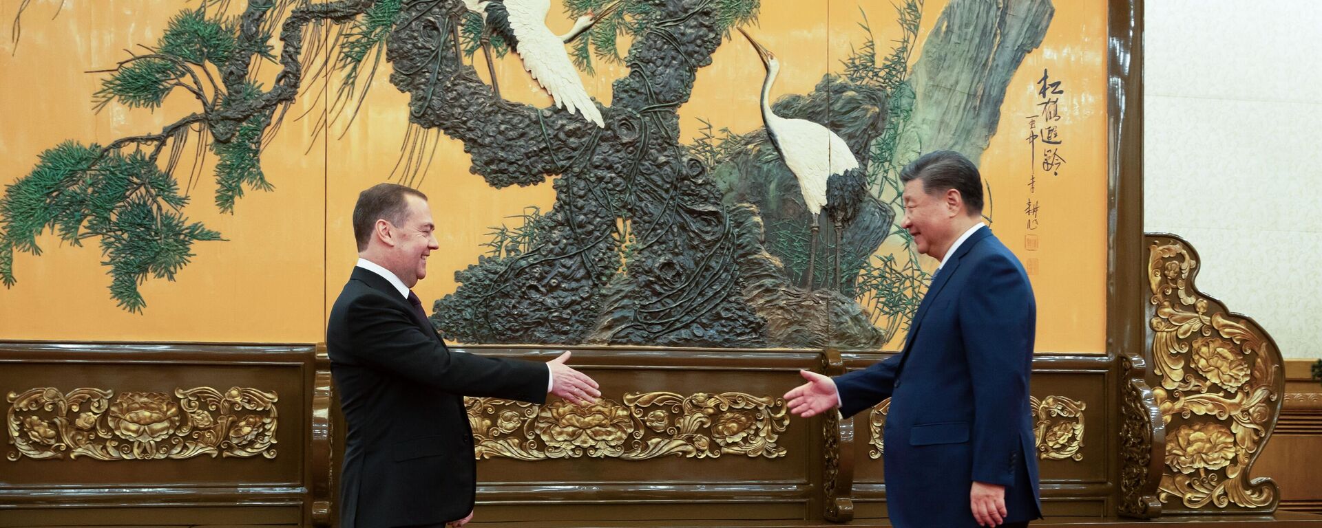 Дмитриј Медведев и Си Ђинпинг Дмитриј Медведев и Си Ђинпинг - Sputnik Србија, 1920, 12.12.2024