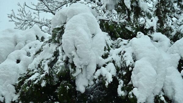 RHMZ najavljuje obilnu kišu u četvrtak i petak, a na planinama prvi sneg
