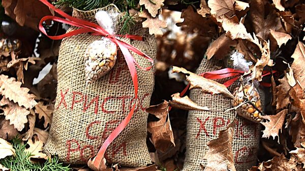  - Sputnik Србија