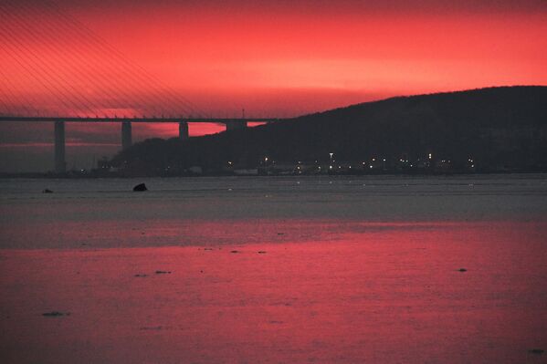 Излазак сунца у заливу Усури у Владивостоку. Излазак сунца у заливу Усури у Владивостоку. - Sputnik Србија