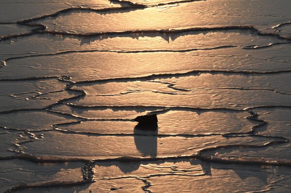 Свитање у Владивостоку. Свитање у Владивостоку. - Sputnik Србија