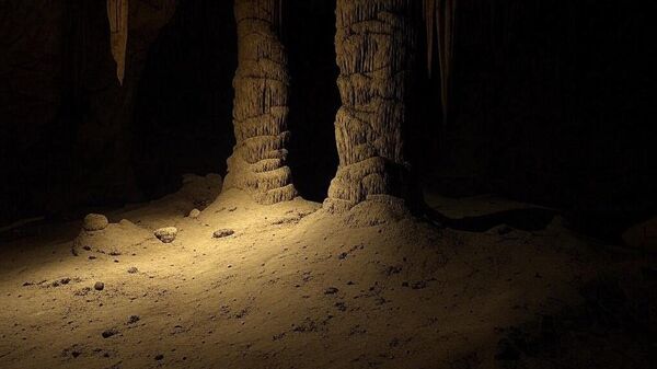 Летећа змија, стоноге, микро-пуж, гекони: У Камбоџи откривене нове врсте /фото/