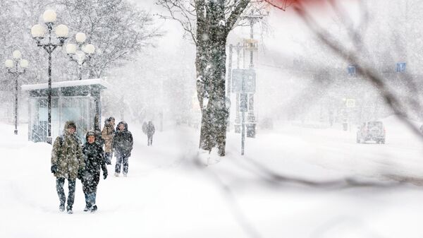 Zima - Sputnik Srbija