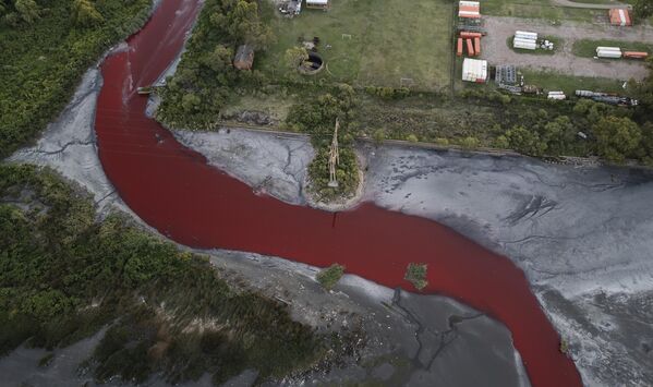 Slike i video snimci prikazuju intenzivno obojenu vodu koja teče u ušće, Rio de la Plata, koje se graniči sa ekološkim rezervatom. - Sputnik Srbija