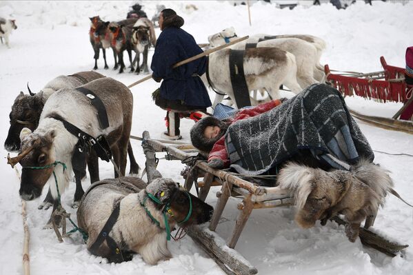 Дете спава на санкама у Салехарду, Русија. - Sputnik Србија
