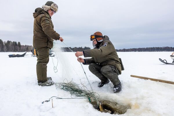 Основан је 20. априла 1991.  - Sputnik Србија