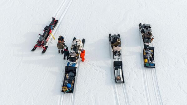Национални парк Водлозерски је створен да заштити четинарске шуме (тајге) у северној Русији. - Sputnik Србија