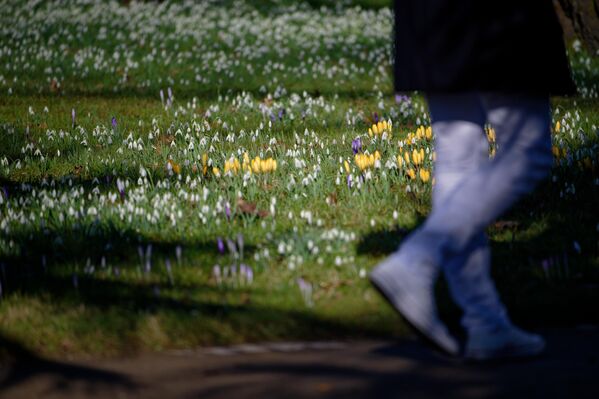 Шетња ботаничком баштом у градићу Пулхајм у Северној Рајни-Вестфалији. - Sputnik Србија