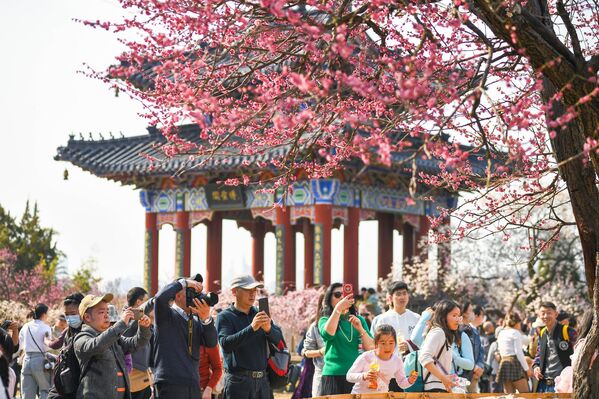 Туристи хрле на планину Меихуа у живописној области царског маузолеја Ђиаолинг у Кини. - Sputnik Србија