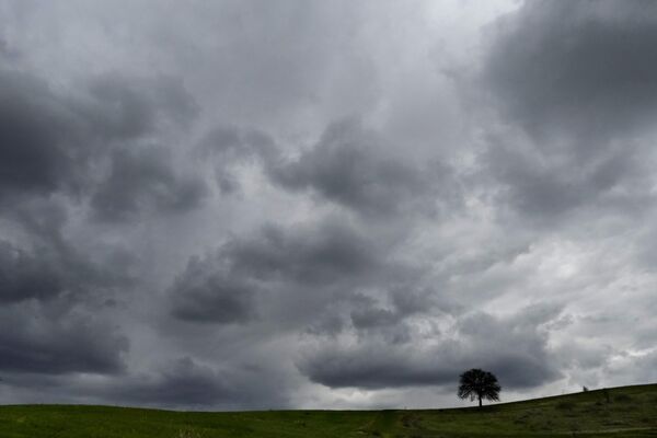 Тамни облаци се скупљају изнад поља са дрветом у близини села Кампиа на периферији Никозије на медитеранском острву Кипар. - Sputnik Србија