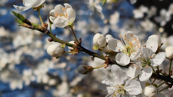 РХМЗ објавио дугорочну прогнозу: Какво нас време чека наредних месеци