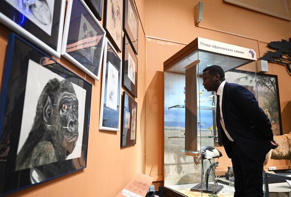 Otvaranje izložbe „Crni kontinent, ili putovanje kroz šarenu Afriku“ u Darvinovom muzeju u Moskvi. - Sputnik Srbija
