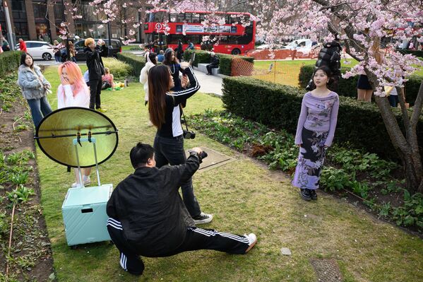 Ljudi poziraju za fotografije ispod trešnjinog drveta u baštama oko katedrale Svetog Pavla u Londonu, Ujedinjeno Kraljevstvo. - Sputnik Srbija