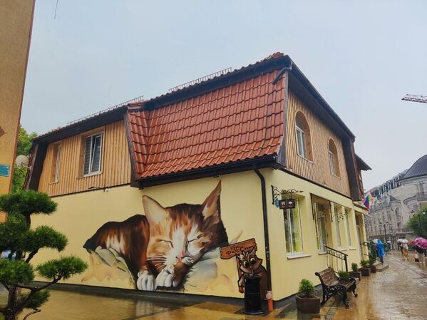 Мачке у Зеленоградску имају статус локалне туристичке атракције, а Руси су им посветили не само читаву грану уметности, већ отворили и музеј и изградили посебан кварт. - Sputnik Србија