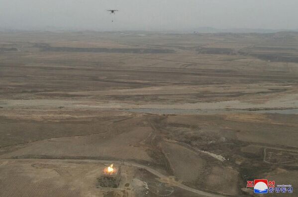 Дело најновијих камиказа дронова - Sputnik Србија