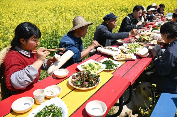 Туристи уживају у локалним специјалитетима у пољу уљане репице. - Sputnik Србија