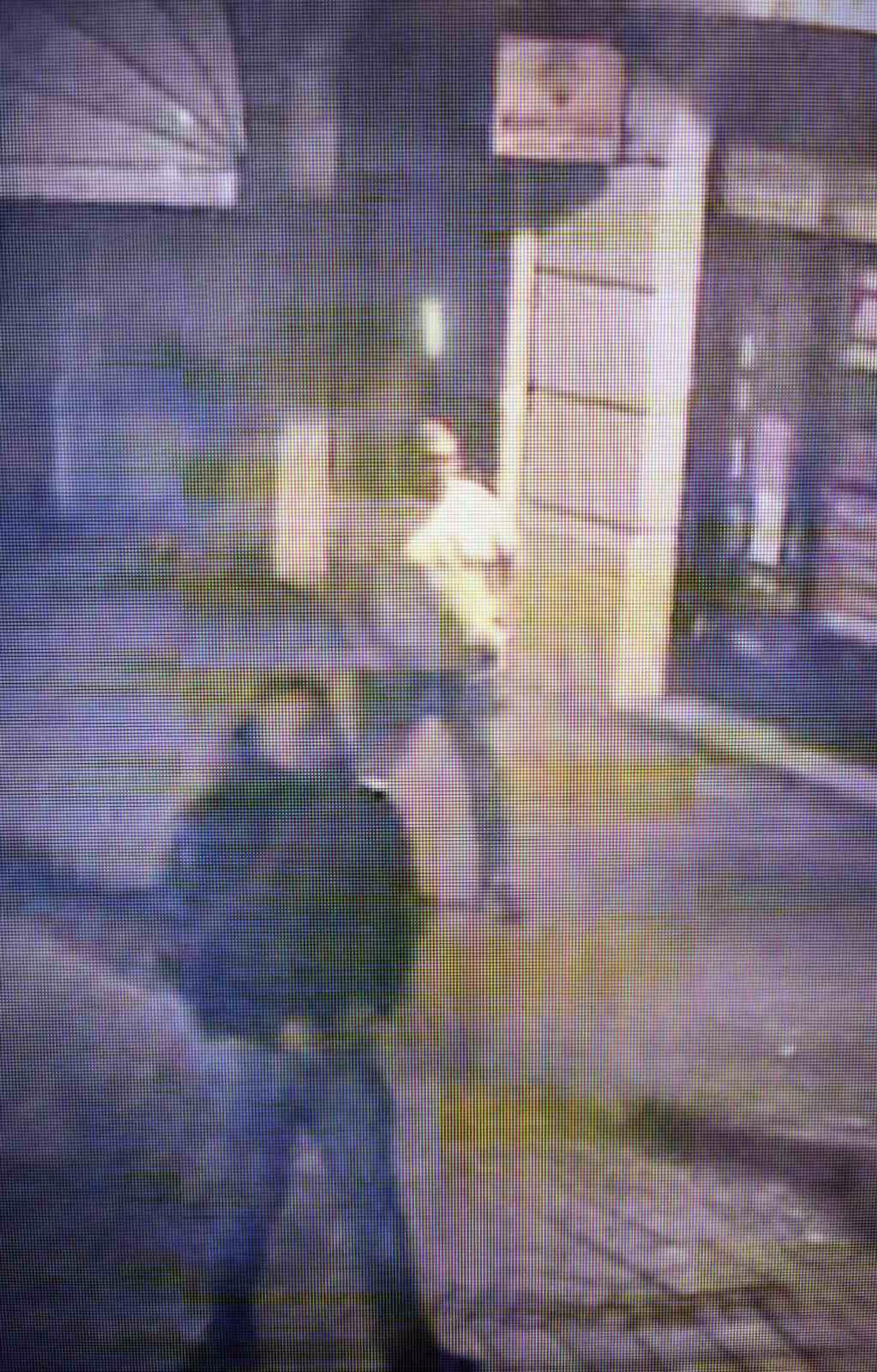 Policijska uprava u Novom Sadu traga za muškarcem - Sputnik Srbija, 1920, 29.03.2025