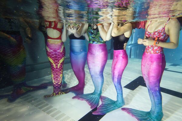 Ученице средње школе у Пољској на часовима сирена на базену. Курс води сертификовани тренер као део ваннаставних активности. Сирена је све популарнија спортска дисциплина која укључује пливање са репом сирене.  - Sputnik Србија