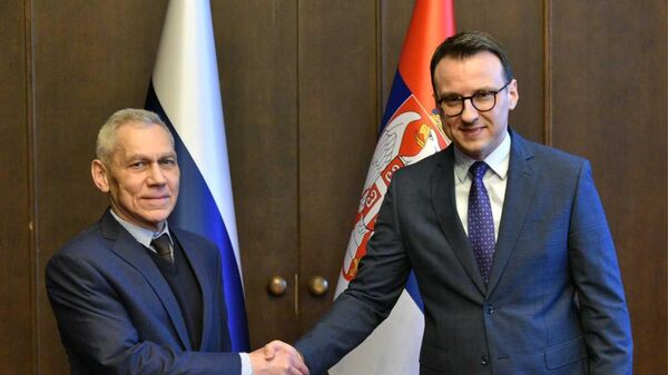 Petar Petković i Aleksandar Bocan Harčenko - Sputnik Srbija