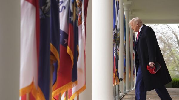 Амерички председник Доналд Трамп. - Sputnik Србија