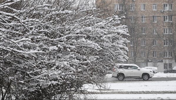 Температуре, које су се кретале и до 16 степени Целзијуса, пале су испод нуле. Температуре, које су се кретале и до 16 степени Целзијуса, пале су испод нуле. - Sputnik Србија