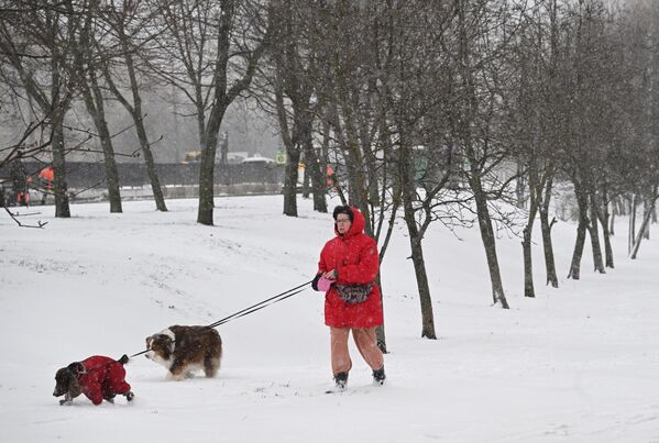 Према прогнози, очекује се још падавина. Према прогнози, очекује се још падавина. - Sputnik Србија