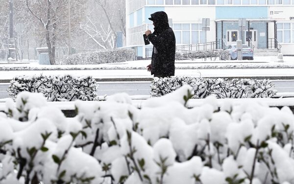 У појединим деловима забележено је и 11 центиметара снега. У појединим деловима забележено је и 11 центиметара снега. - Sputnik Србија