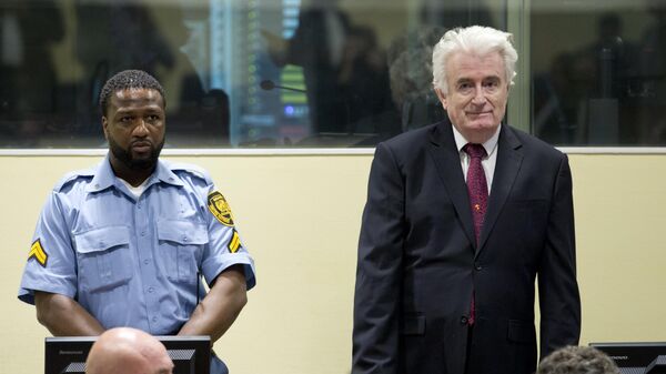Radovan Karadžić - Sputnik Srbija