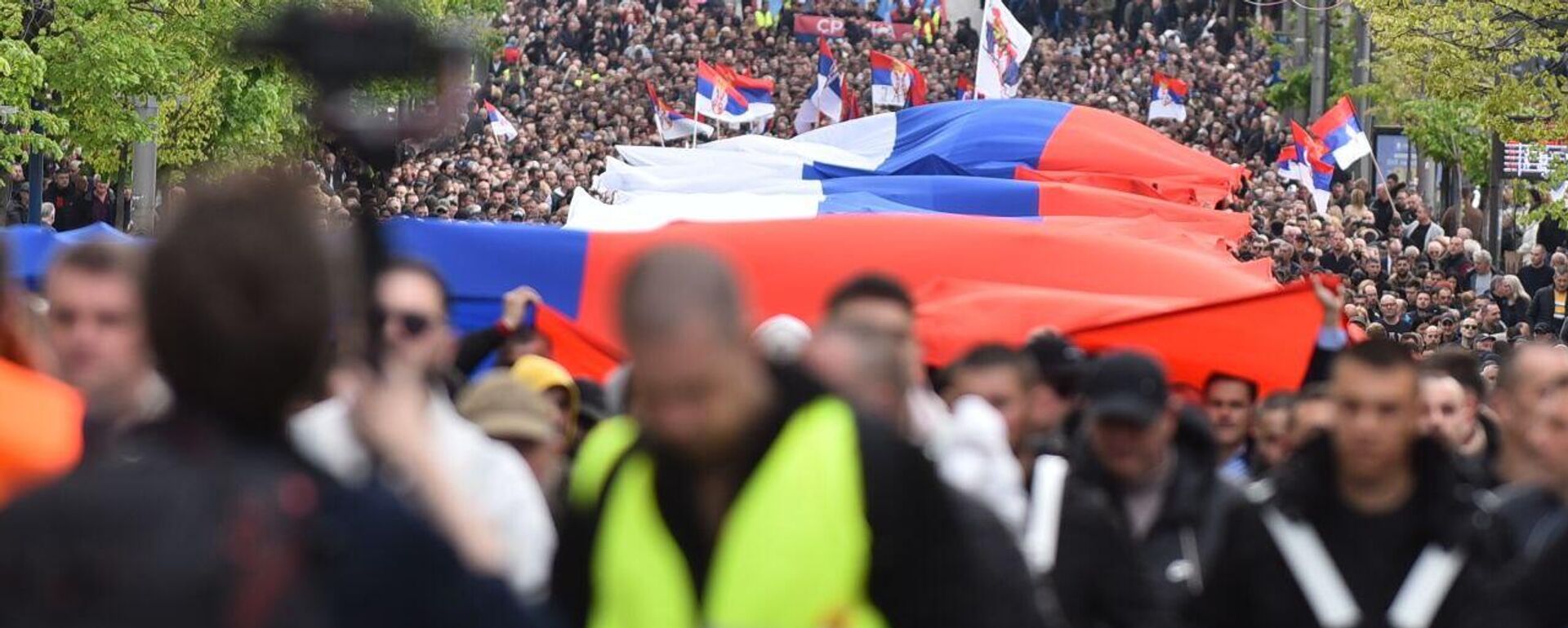 Застава Србије на скупу у Београду - Sputnik Србија, 1920, 11.04.2025