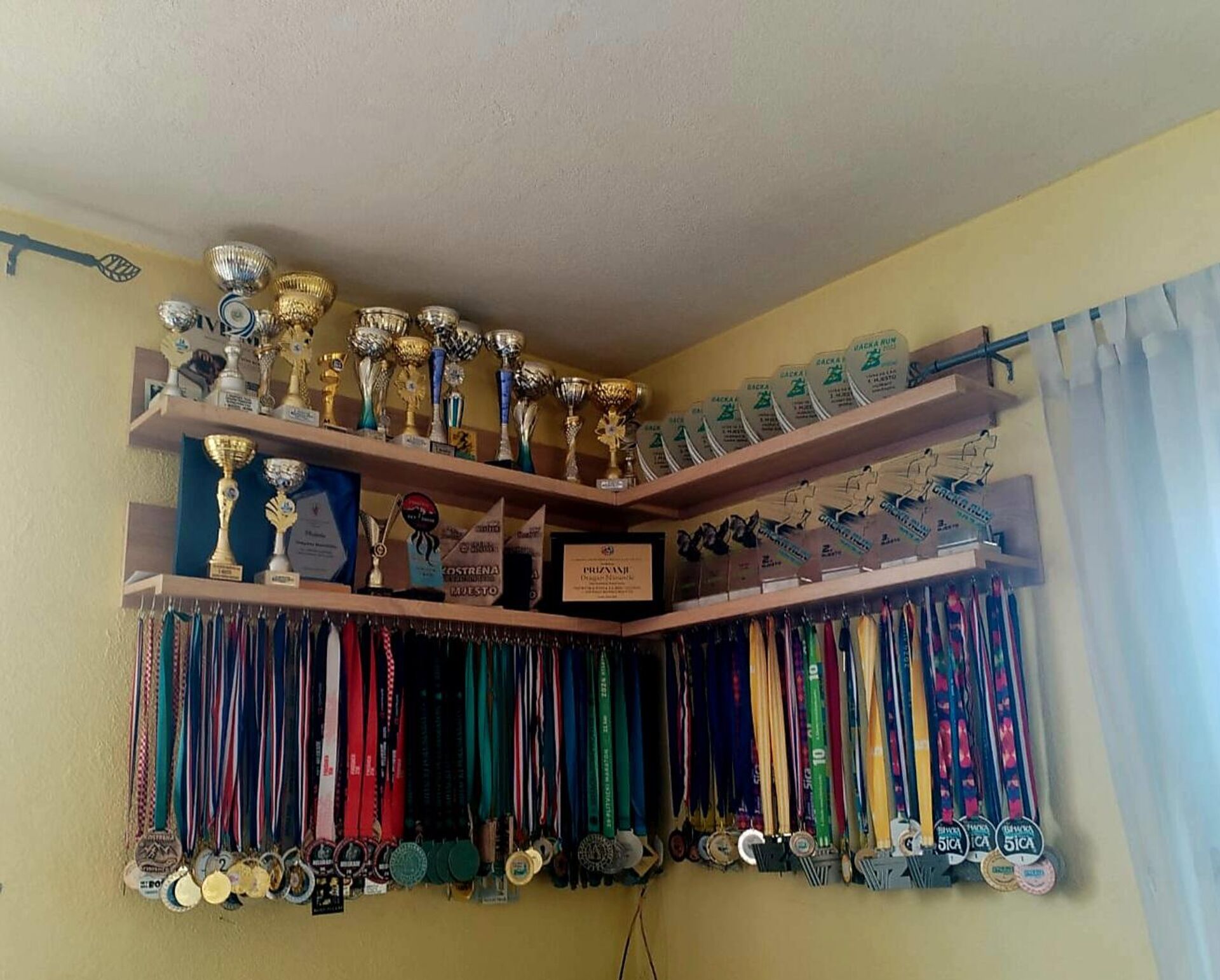 Наранчићи се такмиче скоро сваког викенда, имају преко 300 медаља Наранчићи се такмиче скоро сваког викенда, имају преко 300 медаља - Sputnik Србија, 1920, 17.04.2025