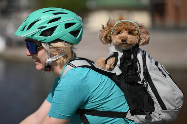 Devojka sa psom vozi bicikl u parku Gorki u Moskvi. - Sputnik Srbija